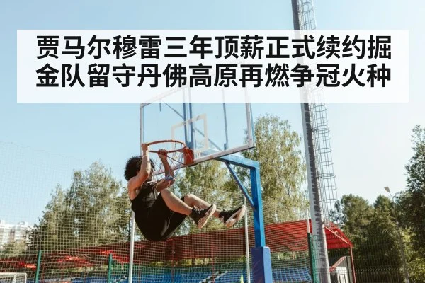 贾马尔穆雷三年顶薪正式续约掘金队留守丹佛高原再燃争冠火种